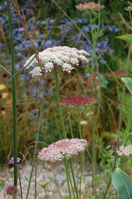 About the Garden Creative